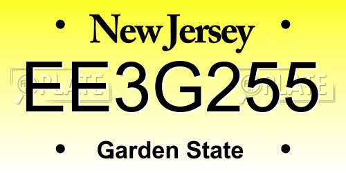 EE3G255 New Jersey License Plate