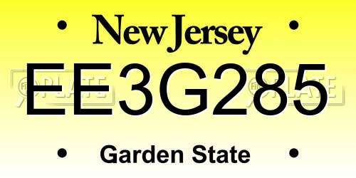 EE3G285 New Jersey License Plate
