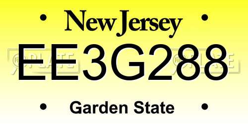EE3G288 New Jersey License Plate