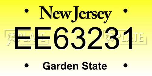 EE63231 New Jersey License Plate