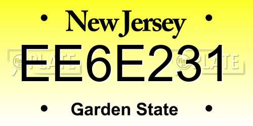 EE6E231 New Jersey License Plate