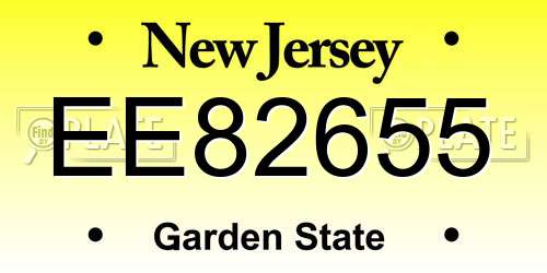 EE82655 New Jersey License Plate