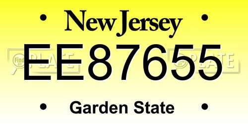 EE87655 New Jersey License Plate