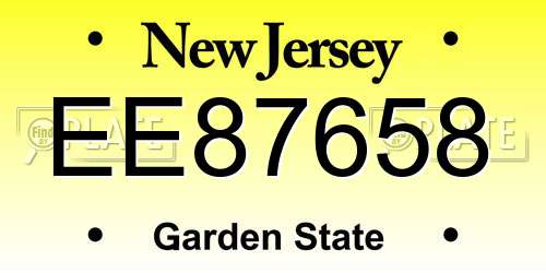 EE87658 New Jersey License Plate