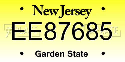 EE87685 New Jersey License Plate