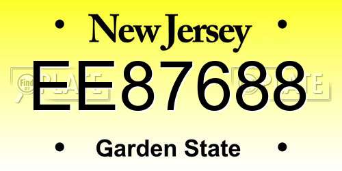 EE87688 New Jersey License Plate