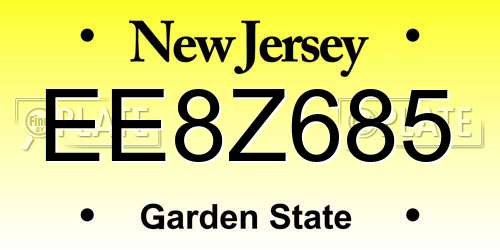EE8Z685 New Jersey License Plate