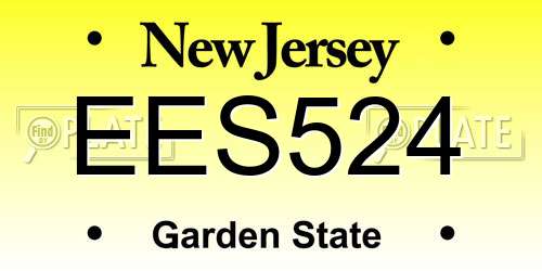 EES524 New Jersey License Plate