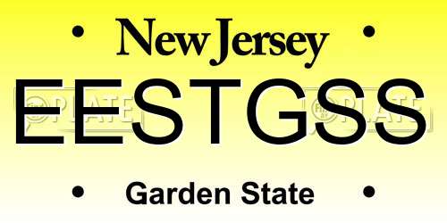 EESTGSS New Jersey License Plate