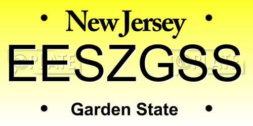EESZGSS New Jersey License Plate