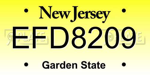 EFD8209 New Jersey License Plate