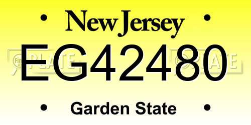 EG42480 New Jersey License Plate