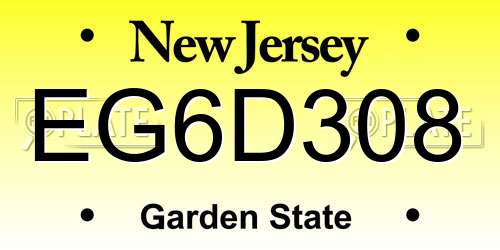 EG6D308 New Jersey License Plate