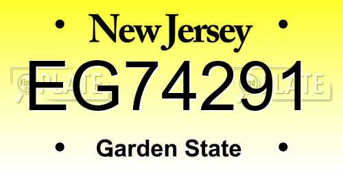 EG74291 New Jersey License Plate