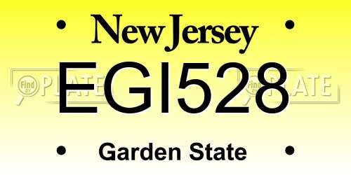 EGI528 New Jersey License Plate