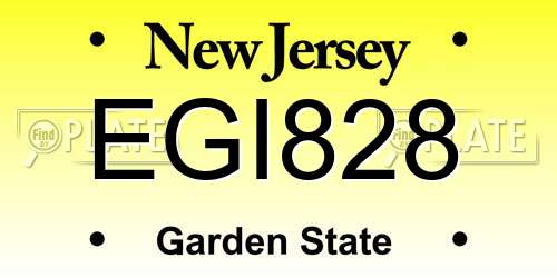 EGI828 New Jersey License Plate
