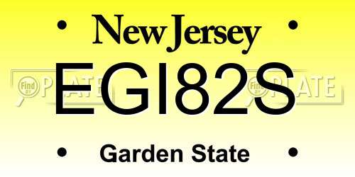 EGI82S New Jersey License Plate