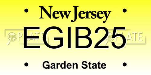 EGIB25 New Jersey License Plate
