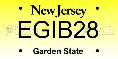 EGIB28 New Jersey License Plate
