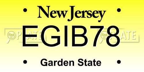 EGIB78 New Jersey License Plate