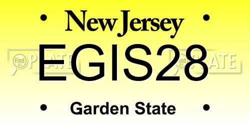EGIS28 New Jersey License Plate