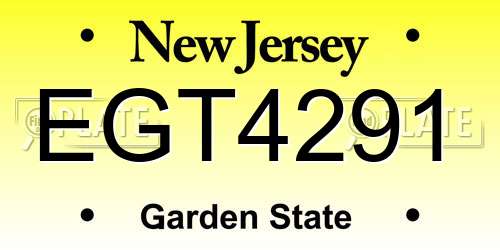 EGT4291 New Jersey License Plate
