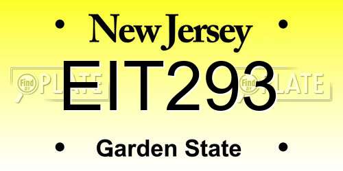 EIT293 New Jersey License Plate