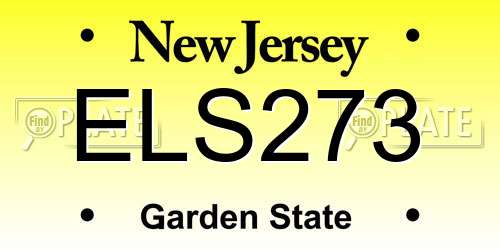ELS273 New Jersey License Plate