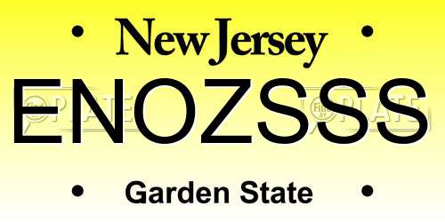 ENOZSSS New Jersey License Plate