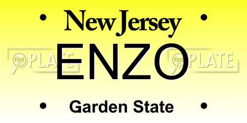 ENZO New Jersey License Plate