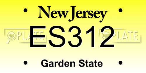 ES312 New Jersey License Plate