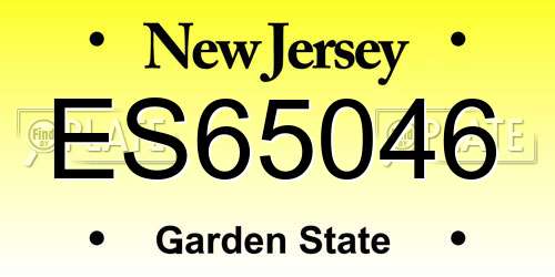 ES65046 New Jersey License Plate