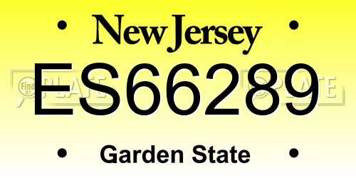 ES66289 New Jersey License Plate