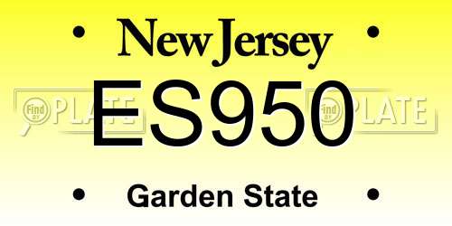 ES950 New Jersey License Plate