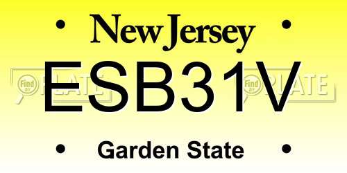 ESB31V New Jersey License Plate