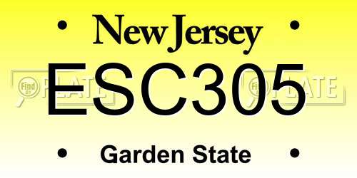 ESC305 New Jersey License Plate