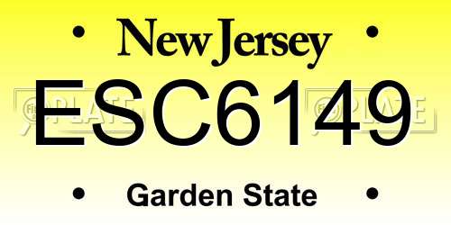 ESC6149 New Jersey License Plate