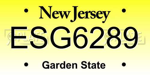 ESG6289 New Jersey License Plate