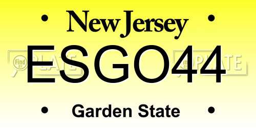 ESGO44 New Jersey License Plate