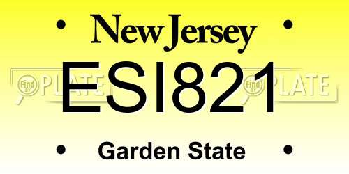ESI821 New Jersey License Plate