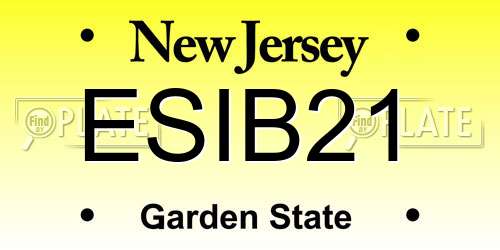 ESIB21 New Jersey License Plate