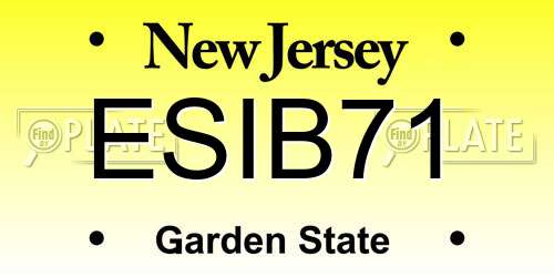 ESIB71 New Jersey License Plate