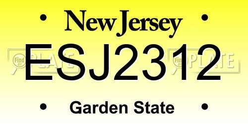 ESJ2312 New Jersey License Plate
