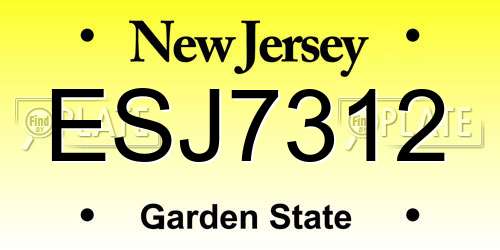 ESJ7312 New Jersey License Plate