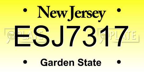 ESJ7317 New Jersey License Plate
