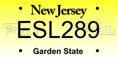 ESL289 New Jersey License Plate