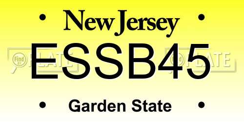 ESSB45 New Jersey License Plate