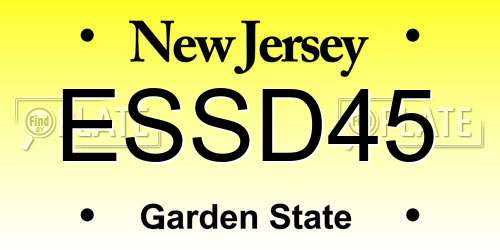 ESSD45 New Jersey License Plate