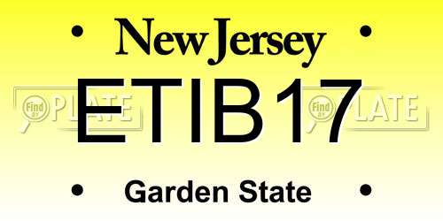 ETIB17 New Jersey License Plate
