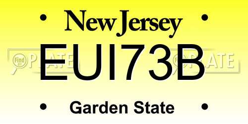 EUI73B New Jersey License Plate